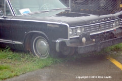 DSC_0335-copyright