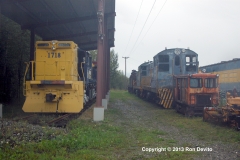 DSC_0336-copyright