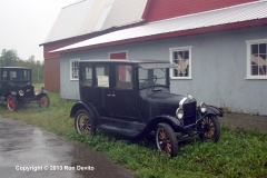 DSC_0337-copyright