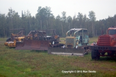 DSC_0342-copyright