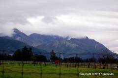 DSC_0072-copyright