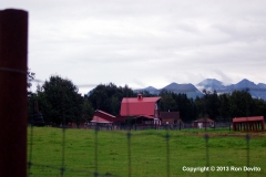DSC_0074-copyright