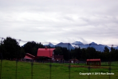 DSC_0075-copyright