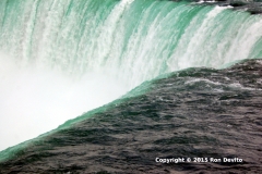 DSC_0443-copyright-wb-640