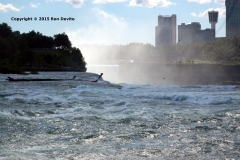 DSC_0029-wb