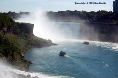 DSC_0049-wb