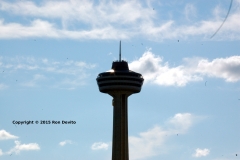 DSC_0058-wb