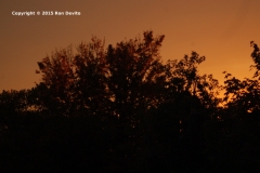 11-2-2015-sunset-2-640