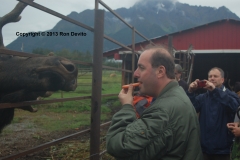 DSC_0111-copyright