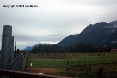 DSC_0132-copyright