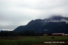 DSC_0133-copyright