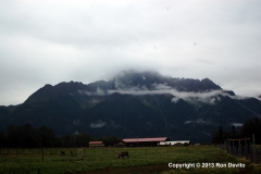 DSC_0134-copyright