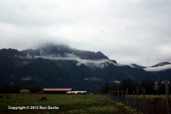 DSC_0135-copyright