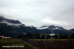 DSC_0136-copyright