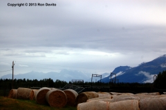 DSC_0145-copyright