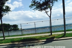 Along-Lake-Shore-Blvd