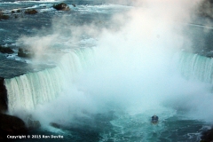 DSC_0086-copyright-wb