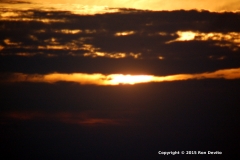 DSC_0107-copyright-wb