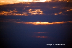 DSC_0113-copyright-wb