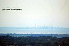 DSC_0114-copyright-wb