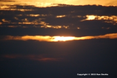 DSC_0107-copyright