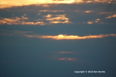 DSC_0113-copyright