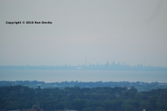 DSC_0114-copyright