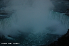 DSC_0122-copyright