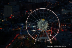 DSC_0129-copyright