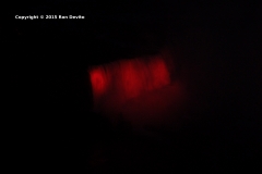 DSC_0147-copyright