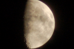 DSC_0156-copyright-closeup