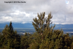 DSC_0160-copyright