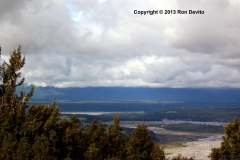 DSC_0161-copyright
