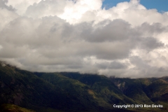 DSC_0165-copyright