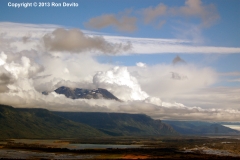 DSC_0167-copyright