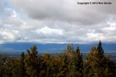 DSC_0168-copyright