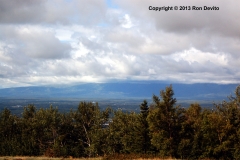 DSC_0169-copyright