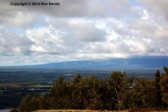 DSC_0170-copyright