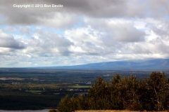 DSC_0171-copyright