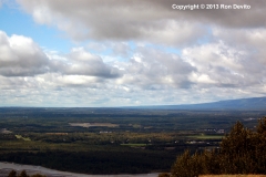 DSC_0172-copyright