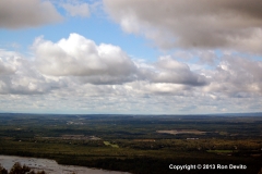DSC_0173-copyright