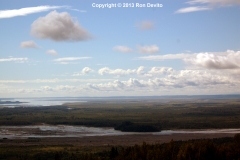 DSC_0177-copyright