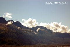 DSC_0181-copyright