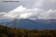 DSC_0217-copyright