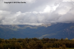 DSC_0218-copyright