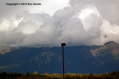 DSC_0219-copyright