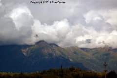 DSC_0220-copyright