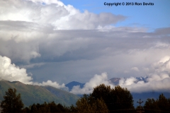 DSC_0221-copyright